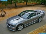 saleen_2006-ford_mustang_s281_scenic_roof_1600x1200_001.jpg