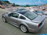 saleen_2006-ford_mustang_s281_scenic_roof_1600x1200_002.jpg