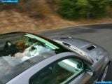 saleen_2006-ford_mustang_s281_scenic_roof_1600x1200_003.jpg