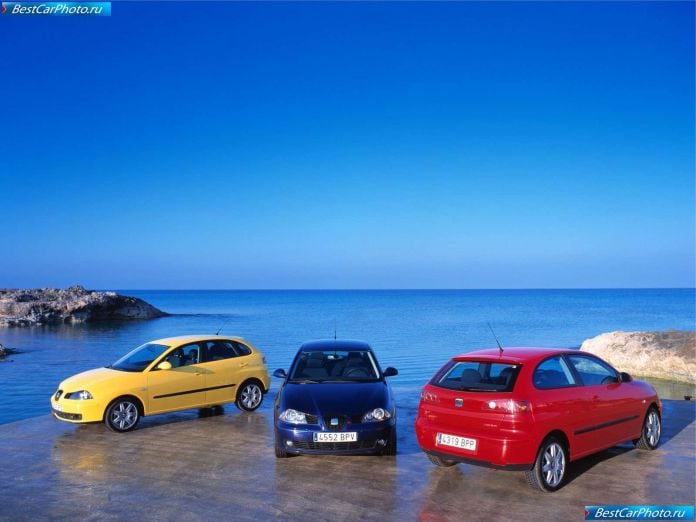 2002 Seat Ibiza - фотография 8 из 59