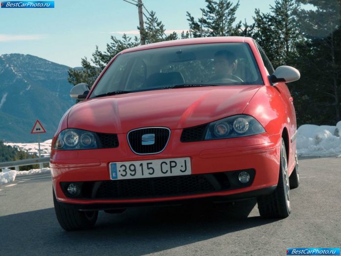 2004 Seat Ibiza Fr - фотография 19 из 56