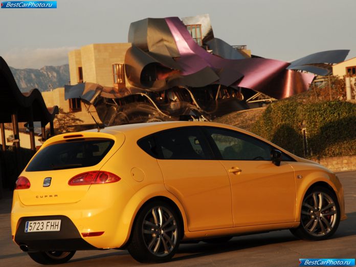 2007 Seat Leon Cupra - фотография 61 из 93