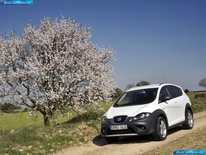 2009 Seat Altea Freetrack - фотография 11 из 30