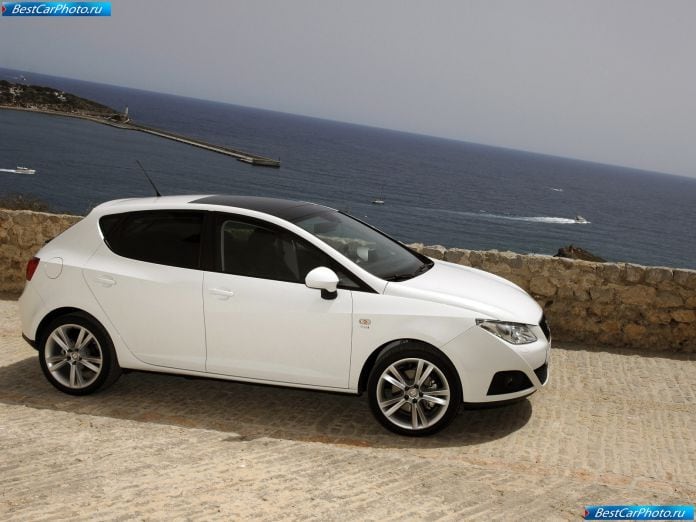 2009 Seat Ibiza - фотография 63 из 220