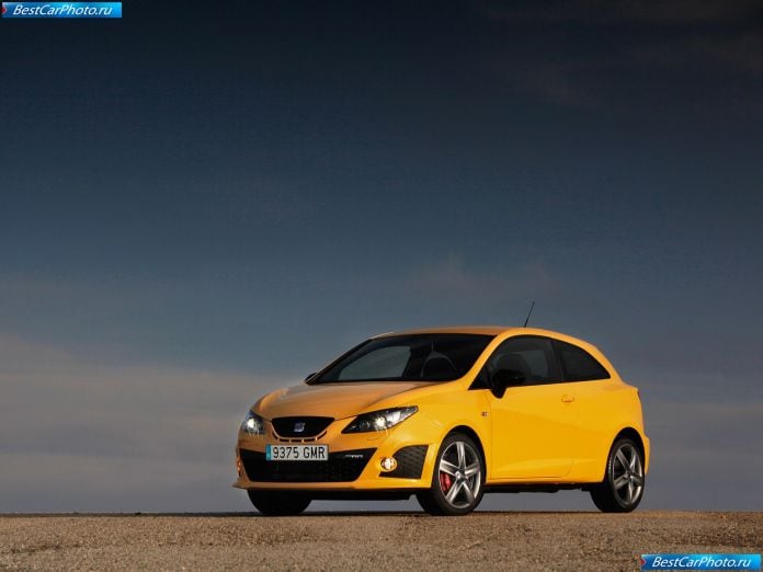 2009 Seat Ibiza Cupra - фотография 4 из 70