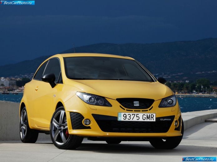2009 Seat Ibiza Cupra - фотография 5 из 70