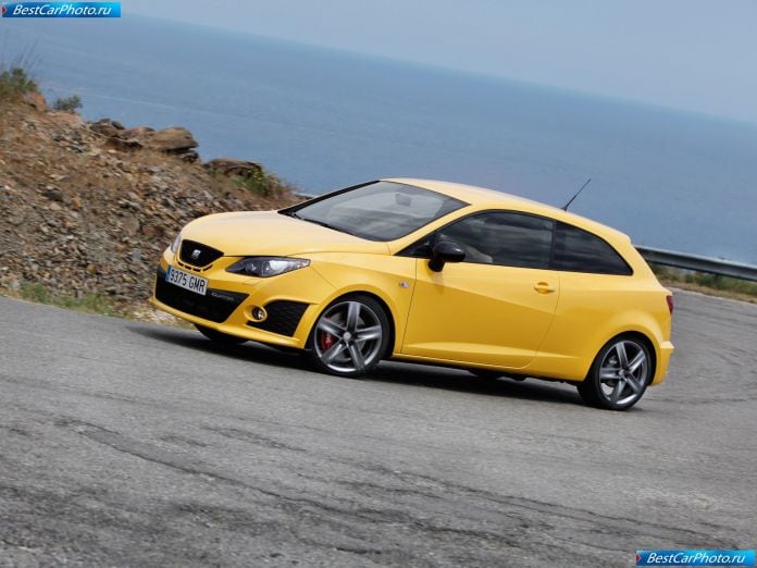 2009 Seat Ibiza Cupra - фотография 9 из 70