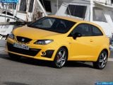 seat_2009-ibiza_cupra_1600x1200_010.jpg