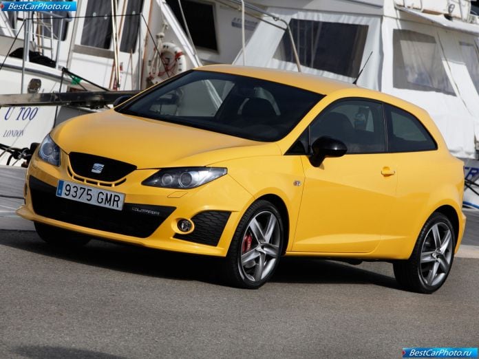 2009 Seat Ibiza Cupra - фотография 10 из 70