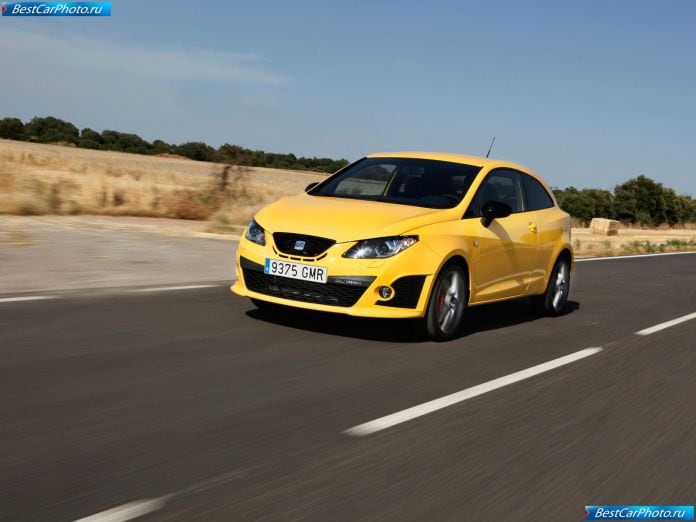 2009 Seat Ibiza Cupra - фотография 11 из 70