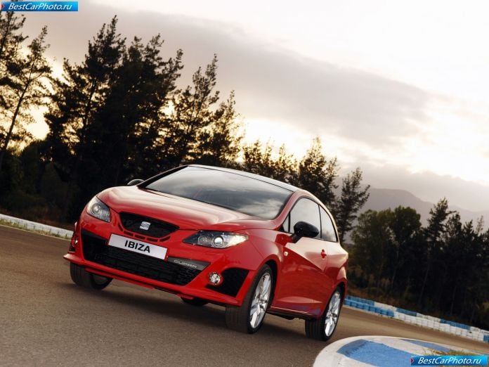 2009 Seat Ibiza Cupra - фотография 13 из 70