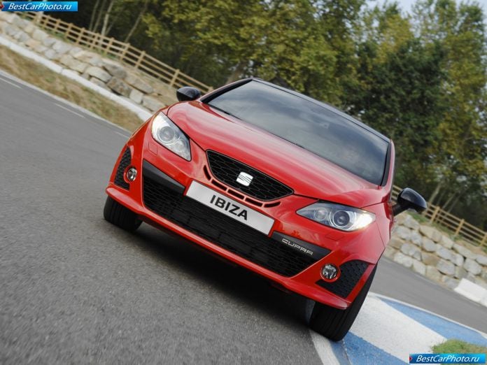 2009 Seat Ibiza Cupra - фотография 16 из 70
