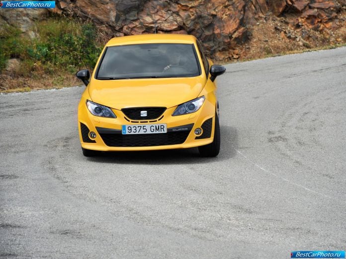 2009 Seat Ibiza Cupra - фотография 17 из 70