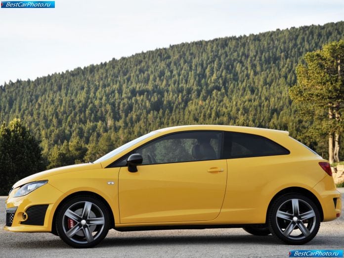 2009 Seat Ibiza Cupra - фотография 18 из 70