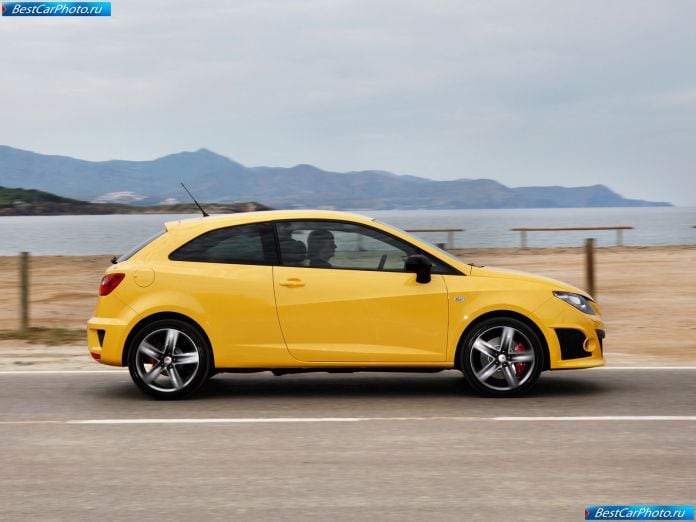 2009 Seat Ibiza Cupra - фотография 20 из 70