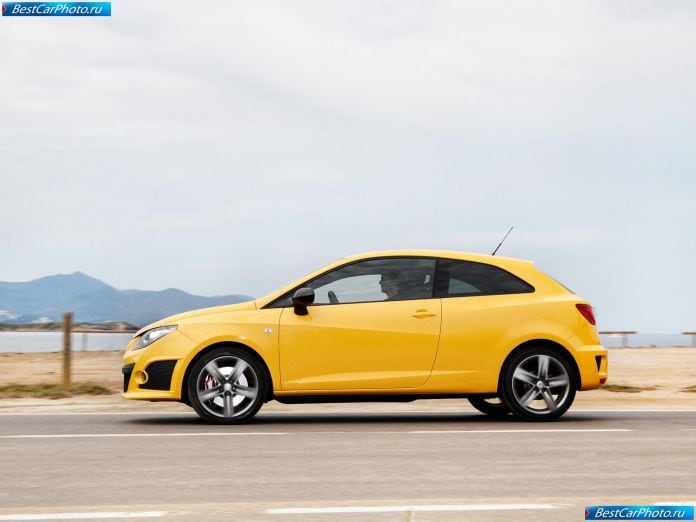 2009 Seat Ibiza Cupra - фотография 21 из 70