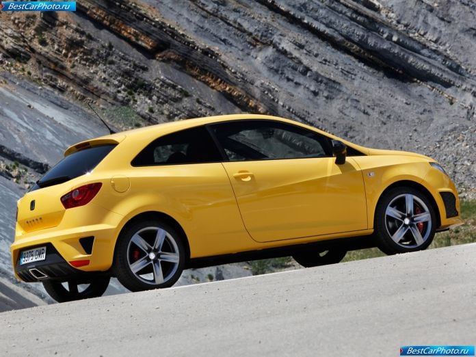 2009 Seat Ibiza Cupra - фотография 22 из 70