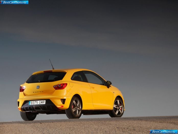 2009 Seat Ibiza Cupra - фотография 23 из 70
