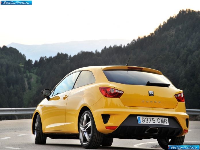 2009 Seat Ibiza Cupra - фотография 29 из 70
