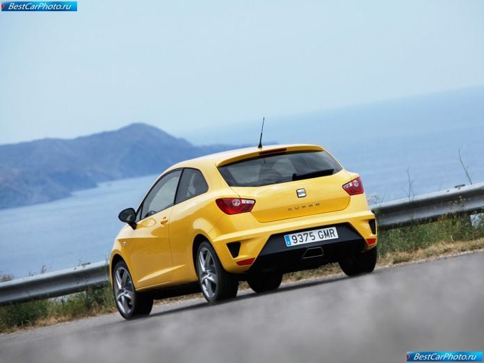 2009 Seat Ibiza Cupra - фотография 30 из 70