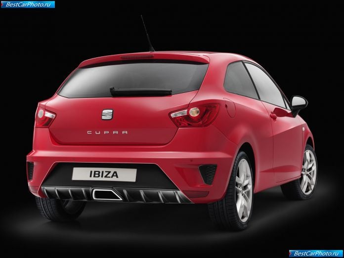 2009 Seat Ibiza Cupra - фотография 51 из 70