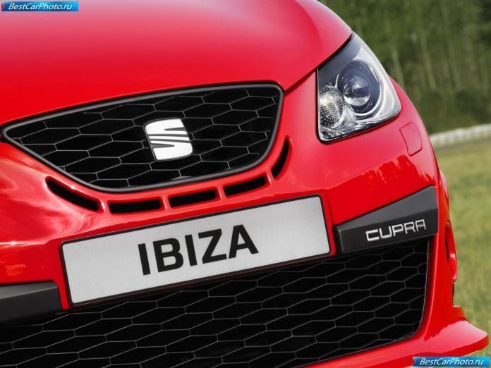 2009 Seat Ibiza Cupra - фотография 62 из 70