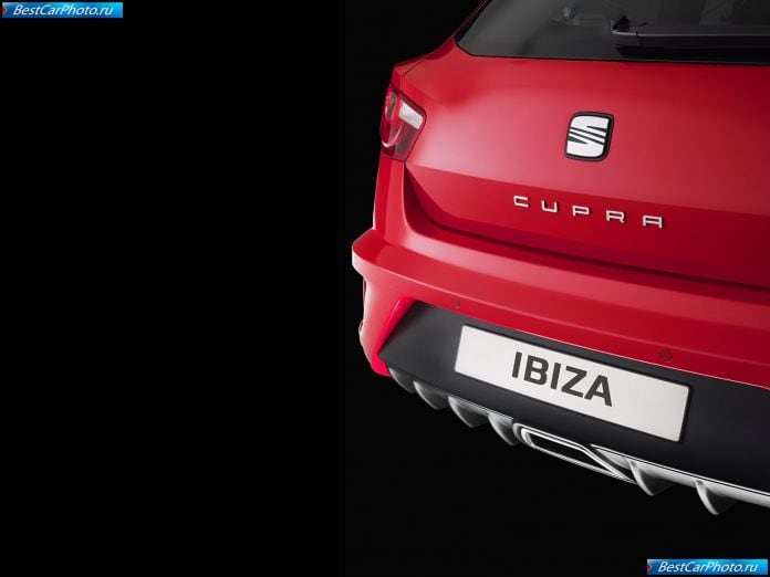 2009 Seat Ibiza Cupra - фотография 66 из 70
