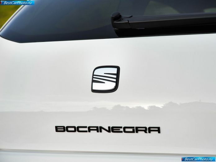2010 Seat Ibiza Bocanegra - фотография 65 из 68