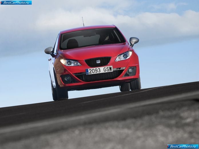 2010 Seat Ibiza Fr Tdi - фотография 6 из 30