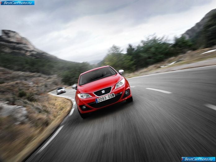 2010 Seat Ibiza Fr Tdi - фотография 12 из 30