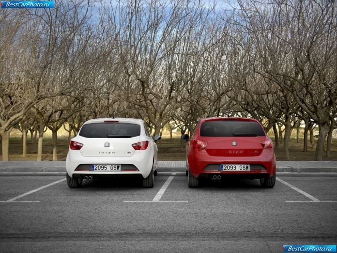 2010 Seat Ibiza Fr Tdi - фотография 27 из 30