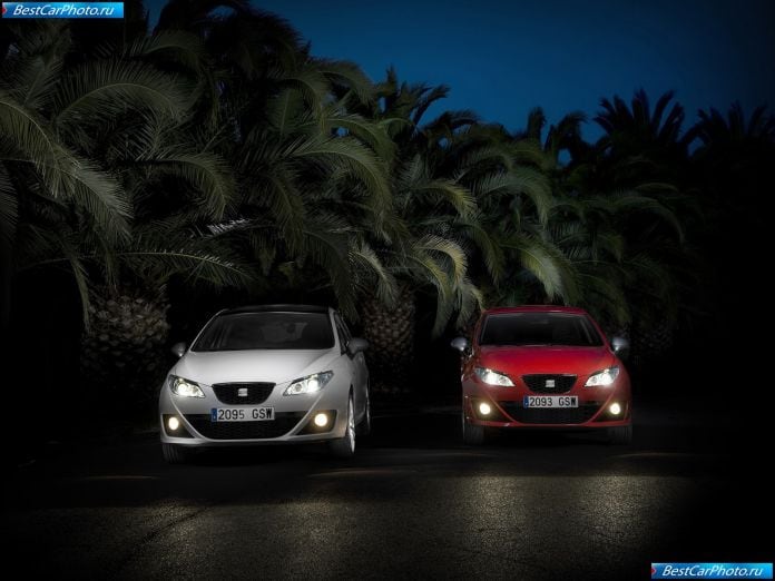 2010 Seat Ibiza Fr Tdi Sc - фотография 30 из 38