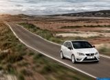 seat_2013-ibiza_cupra_1600x1200_008.jpg