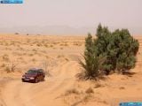 skoda_2003-octavia_combi_4x4_1600x1200_010.jpg