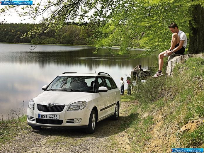 2008 Skoda Fabia Combi Greenline - фотография 4 из 22