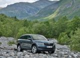 skoda_2017_kodiaq_010.jpg