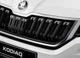 skoda_2017_kodiaq_073.jpg