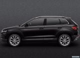 skoda_2018_karoq_098.jpg