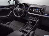 skoda_2018_karoq_101.jpg