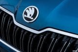 skoda_2019_kamiq_cn_021.jpg