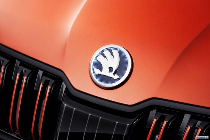 2019 Skoda Mountiaq Concept - фотография 19 из 19 2019 Skoda Mountiaq Concept - фотография 19 из 19