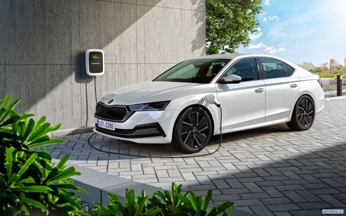 2020 Skoda Octavia iV - фотография 1 из 1