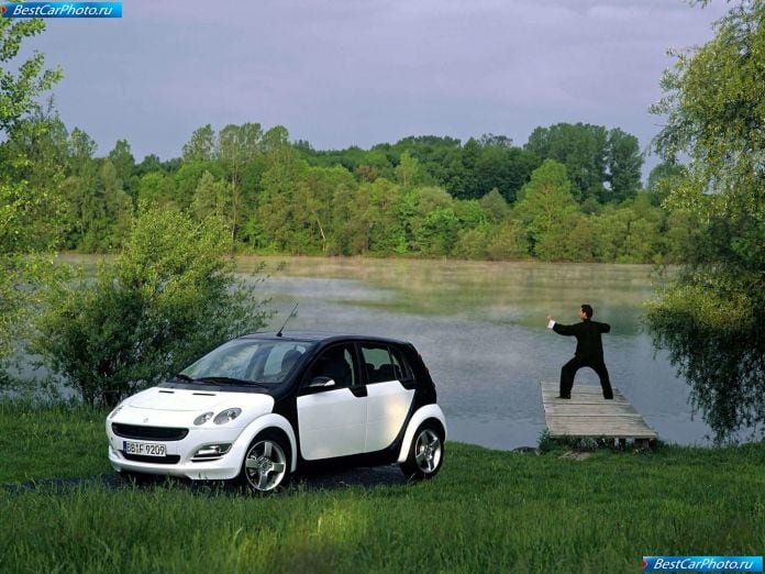 2004 Smart Forfour - фотография 18 из 46 2004 Smart Forfour - фотография 18 из 46