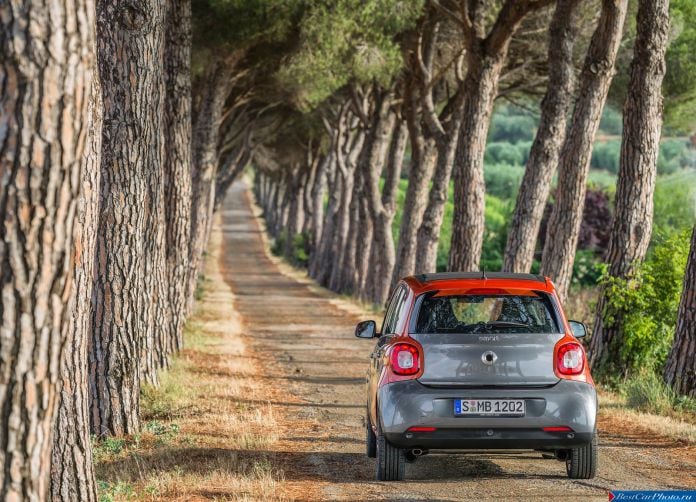 2015 Smart Forfour - фотография 30 из 62