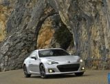 2013_brz_015.jpg