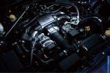 2013_brz_072.jpg