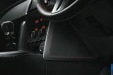 2013_brz_081.jpg