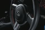 2013_brz_083.jpg
