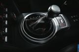 2013_brz_084.jpg