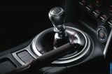 2013_brz_085.jpg